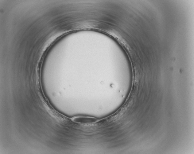 X0000070381031200606301916