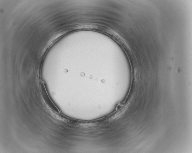 X0000070381033200606301916