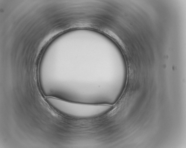 X0000070381035200606301916