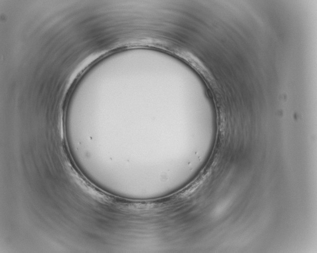 X0000070381036200606301916