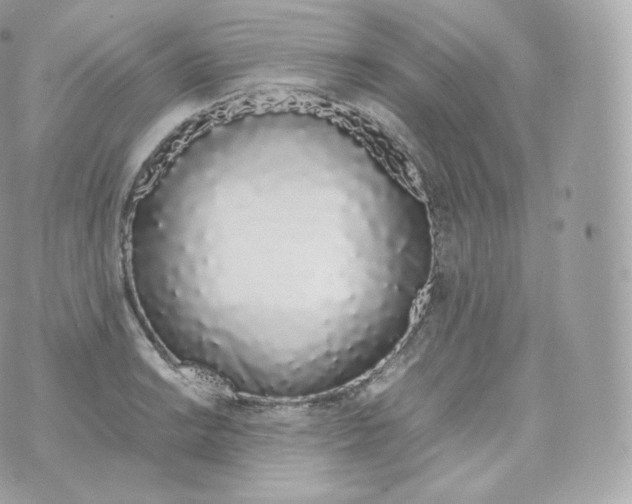 X0000070381038200606301916