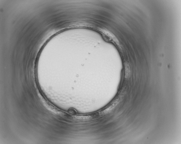 X0000070381039200606301916