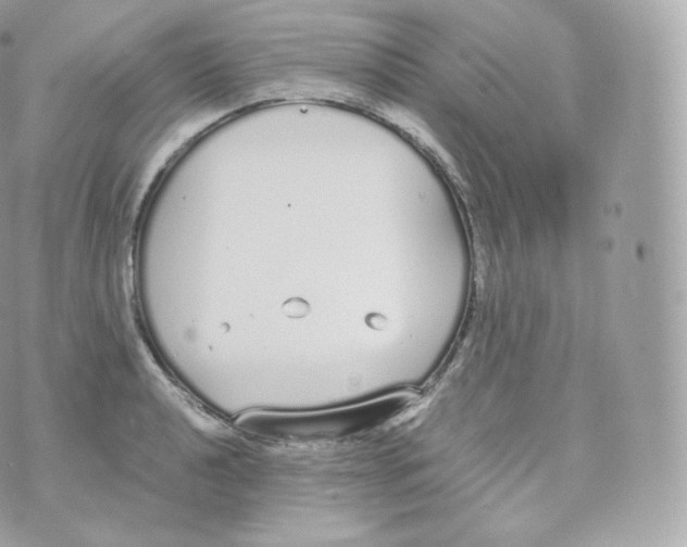 X0000070381040200606301916