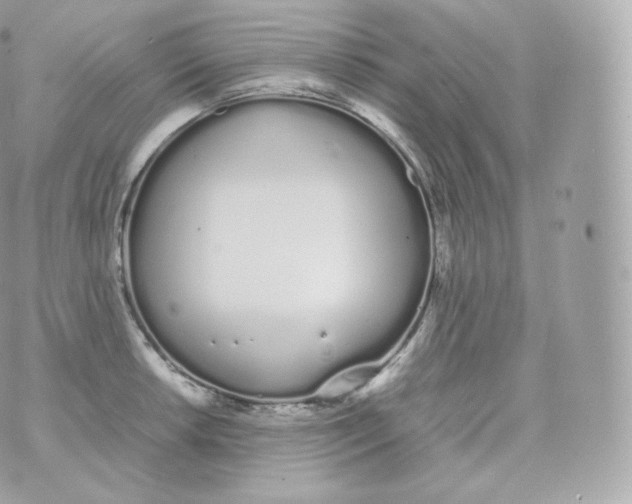 X0000070381042200606301916