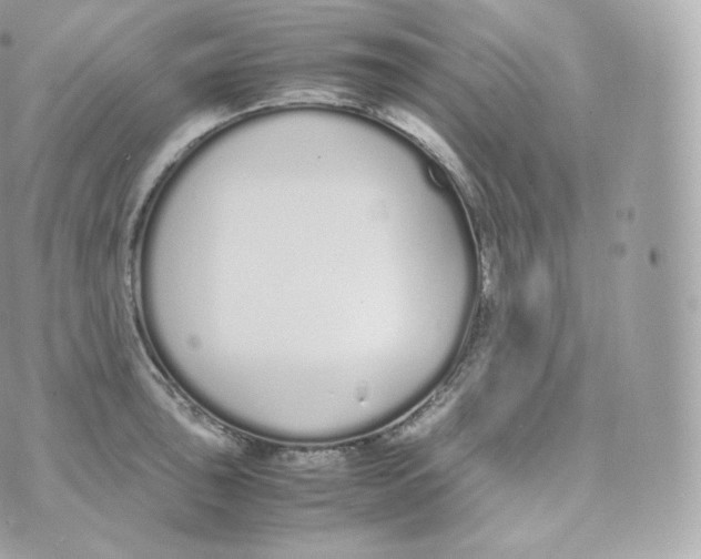 X0000070381043200606301916