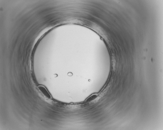 X0000070381044200606301916