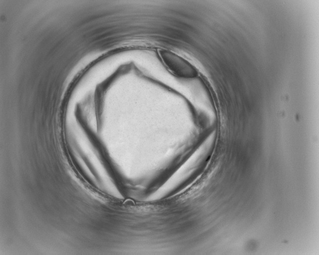 X0000070381045200606301916