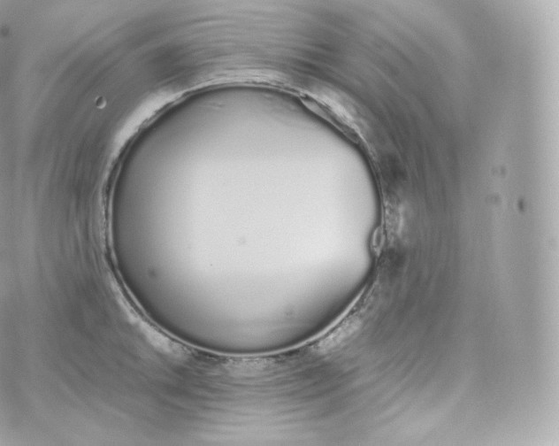 X0000070381046200606301916