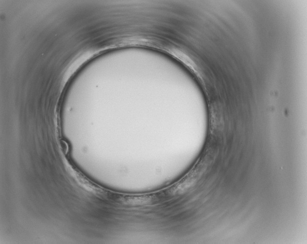 X0000070381047200606301916