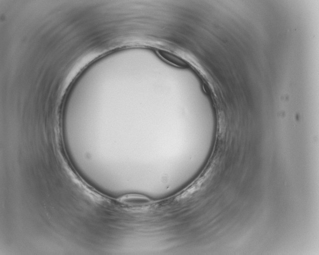 X0000070381048200606301916