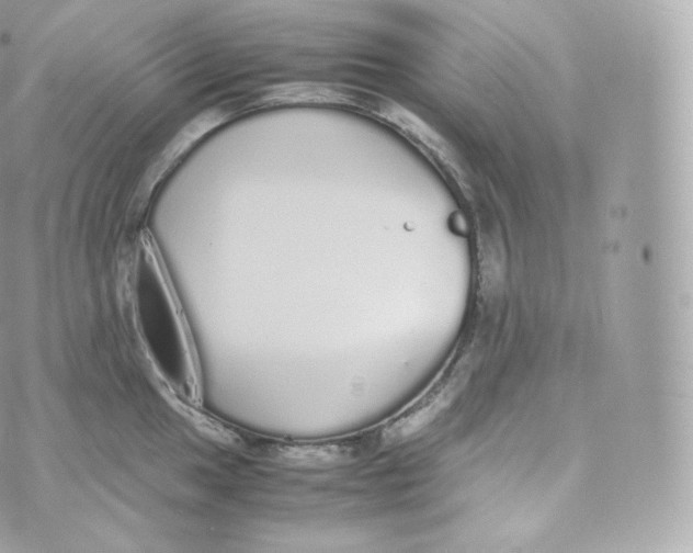 X0000070381049200606301916