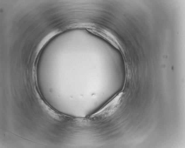 X0000070381050200606301916