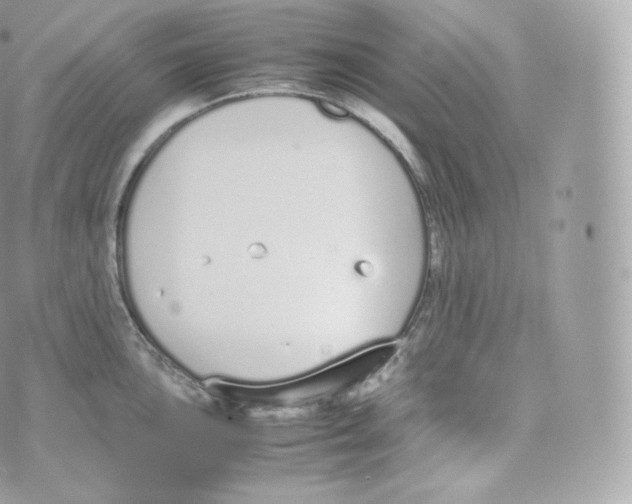 X0000070381051200606301916