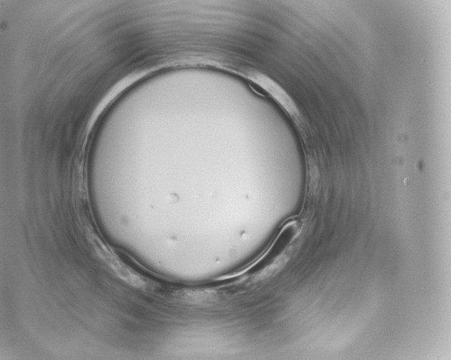 X0000070381052200606301916