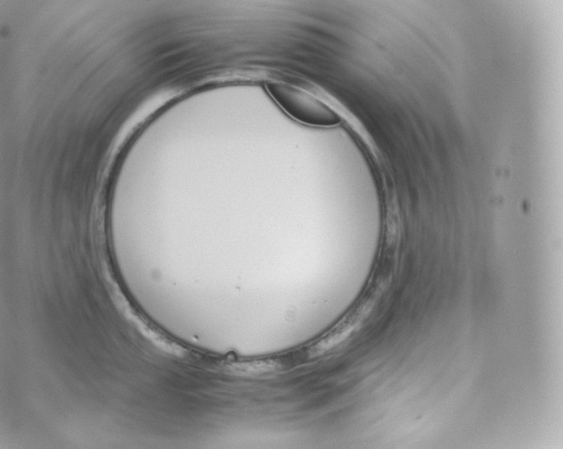 X0000070381053200606301916