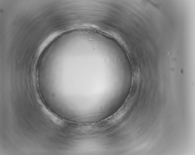 X0000070381054200606301916