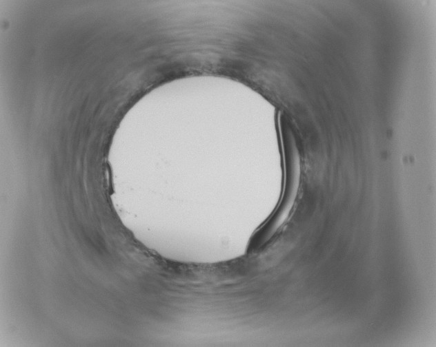 X0000070381057200606301916