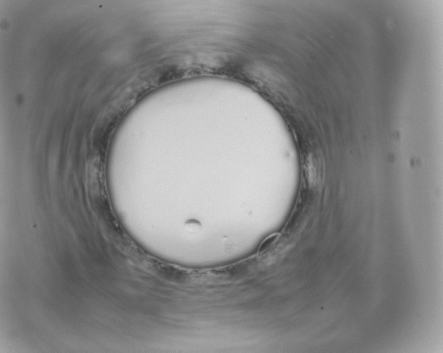 X0000070381059200606301916