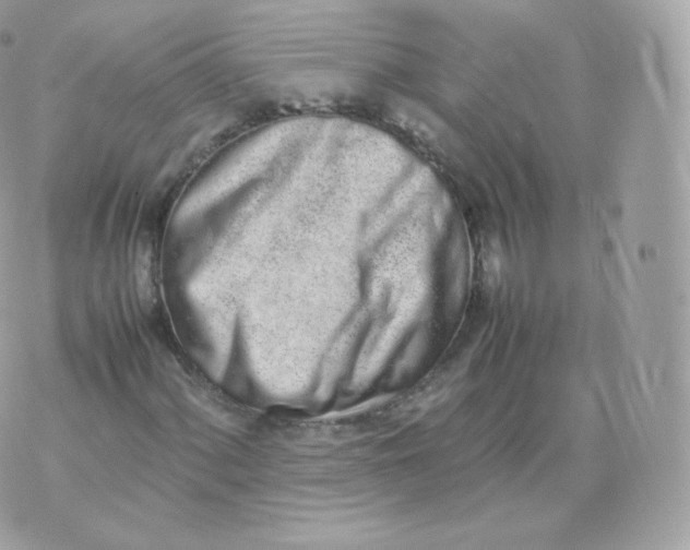 X0000070381060200606301916