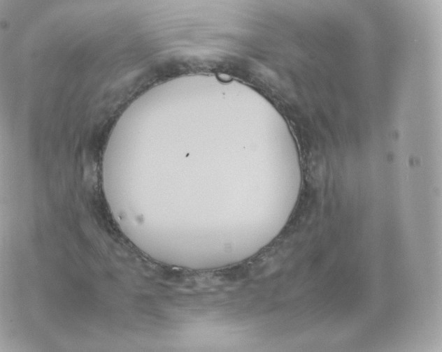 X0000070381061200606301916