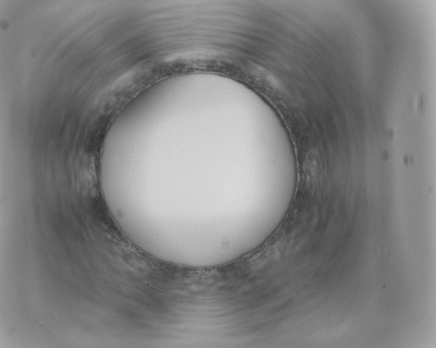 X0000070381062200606301916