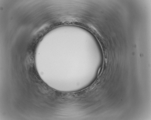 X0000070381063200606301916