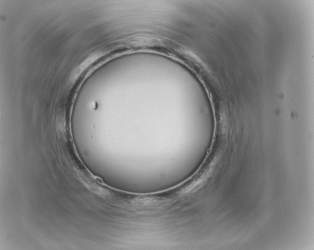 X0000070381065200606301916