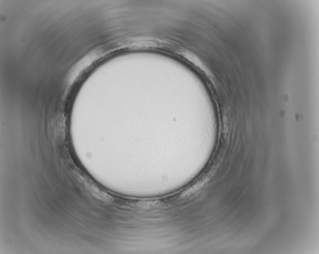 X0000070381067200606301915