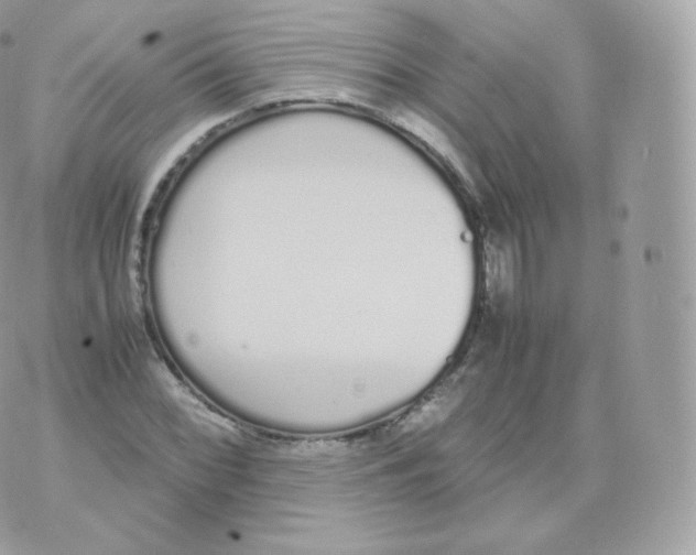 X0000070381068200606301915