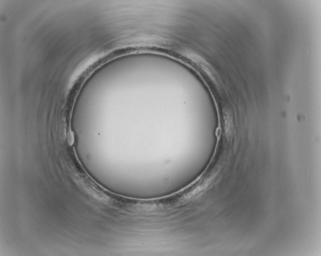 X0000070381069200606301915