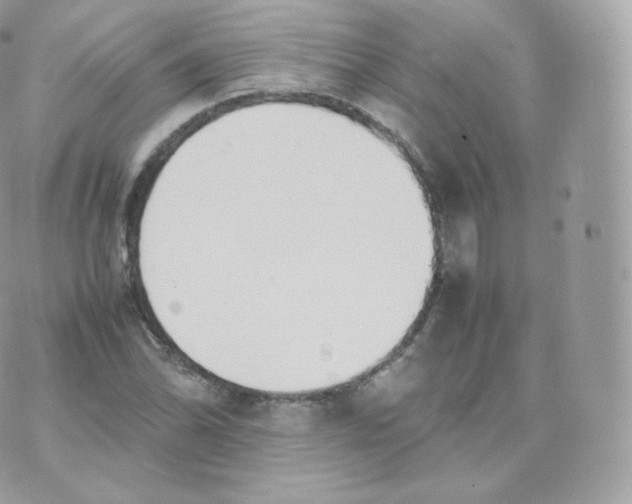 X0000070381070200606301915