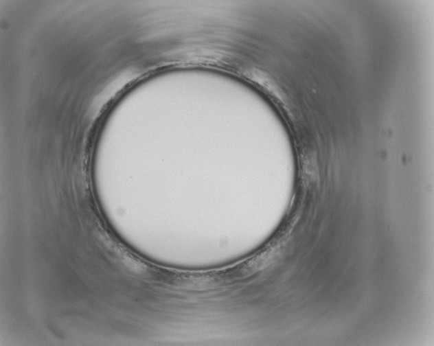 X0000070381071200606301915