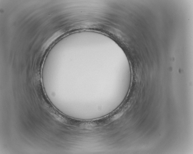 X0000070381073200606301915