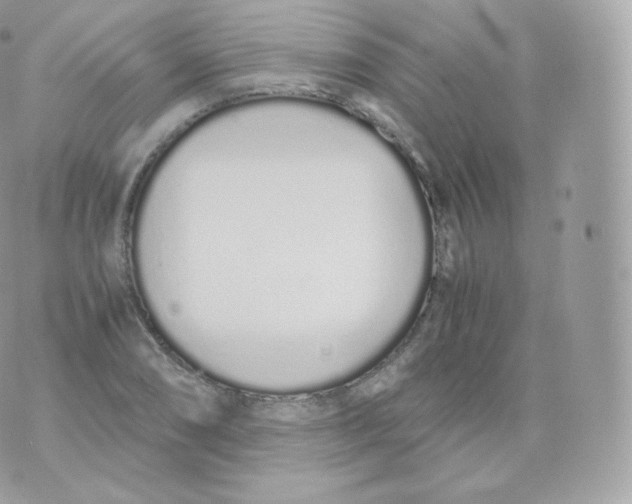 X0000070381074200606301915