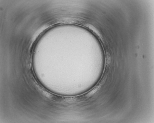 X0000070381075200606301915