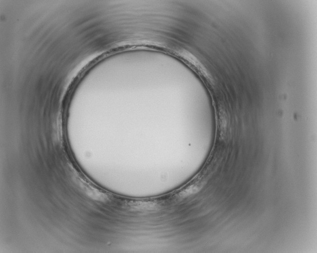 X0000070381076200606301915