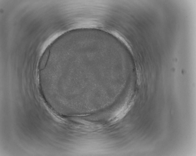 X0000070381077200606301915