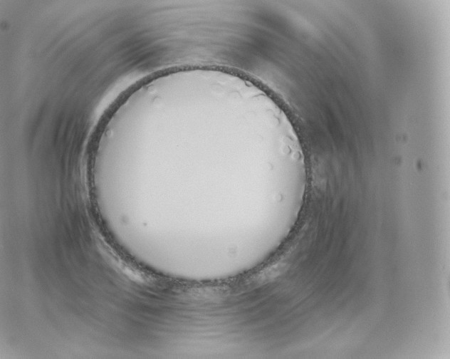 X0000070381078200606301915