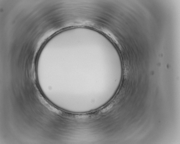 X0000070381080200606301915