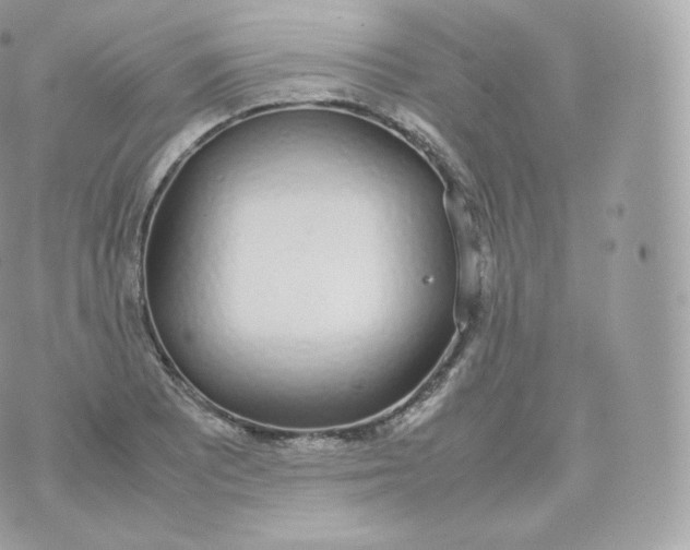 X0000070381081200606301915