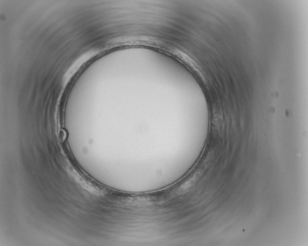 X0000070381082200606301915