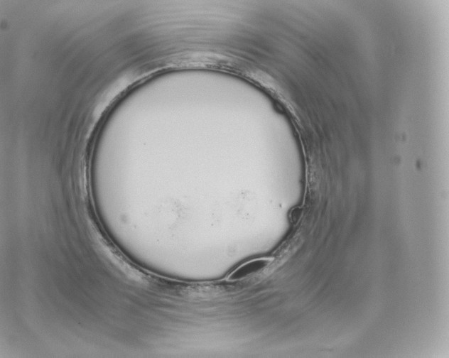 X0000070381083200606301915