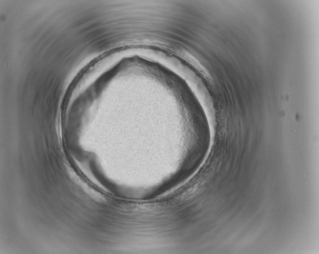 X0000070381084200606301915