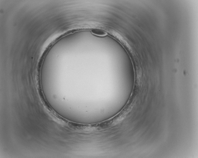 X0000070381085200606301915