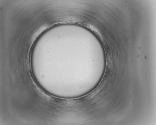 X0000070381087200606301915