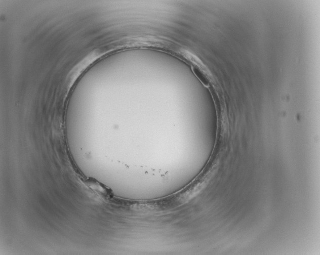 X0000070381089200606301915