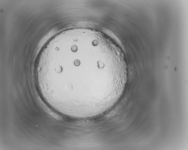 X0000070381091200606301915