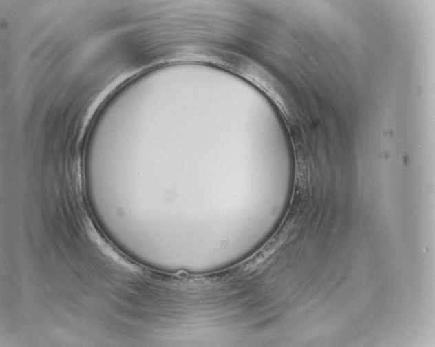 X0000070381092200606301915