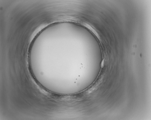 X0000070381093200606301915