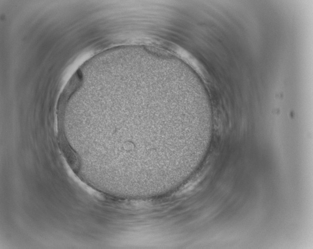 X0000070381095200606301915